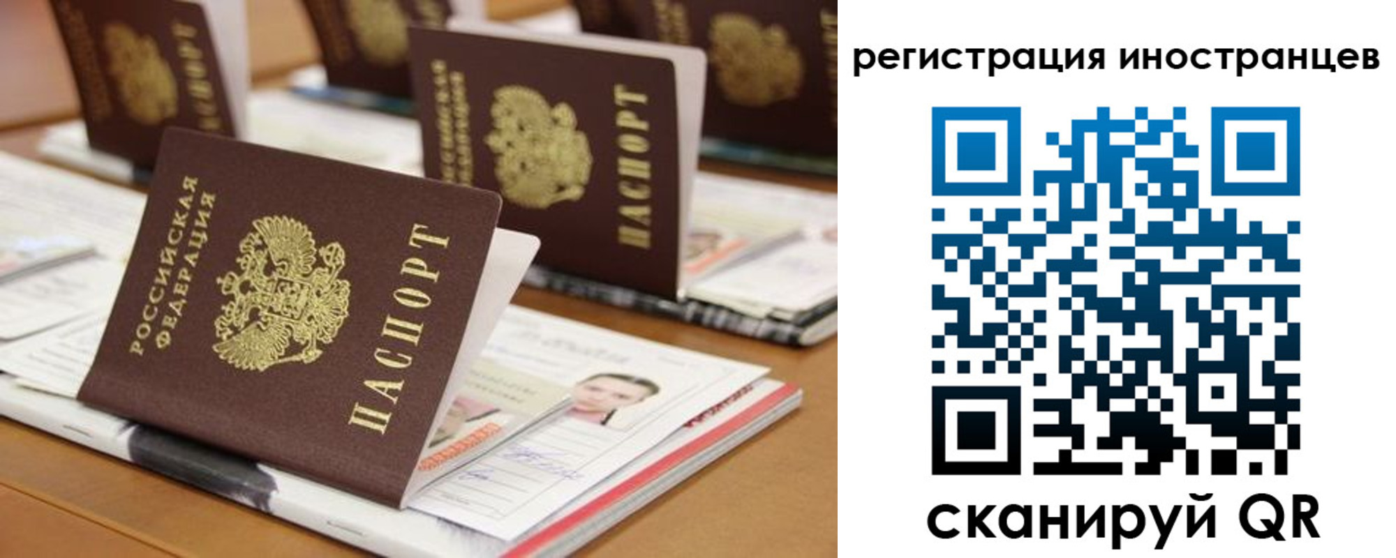пропишу в квартире в Дубне