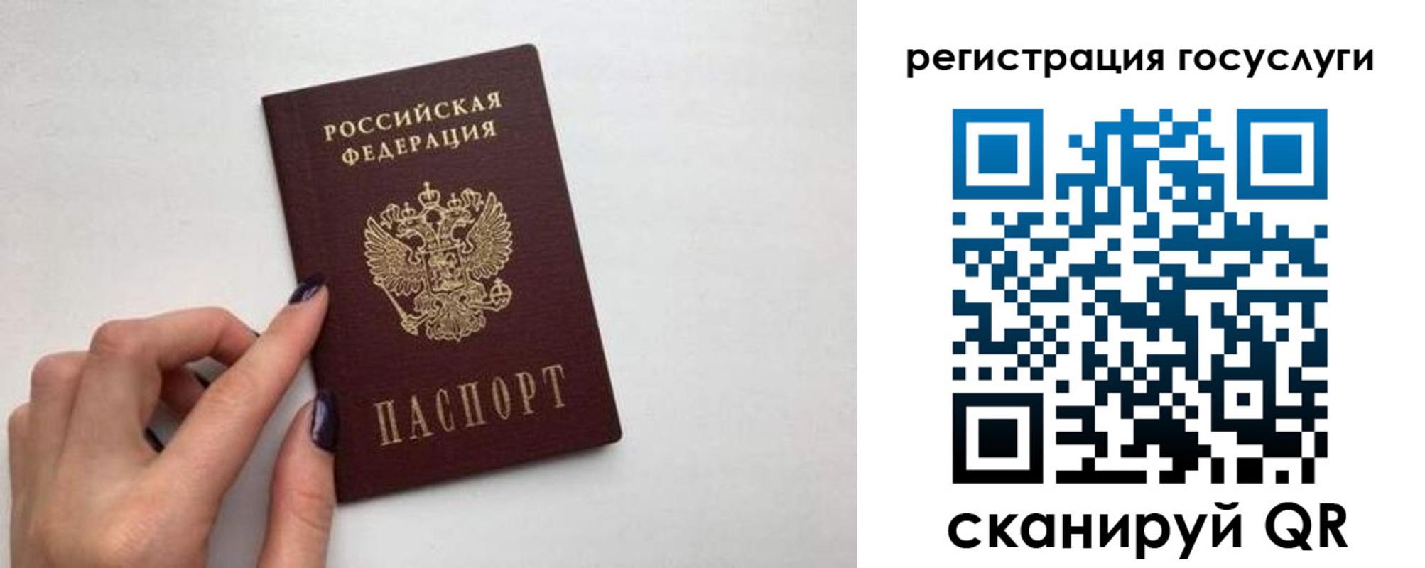 временная регистрация гарантия в Дубне